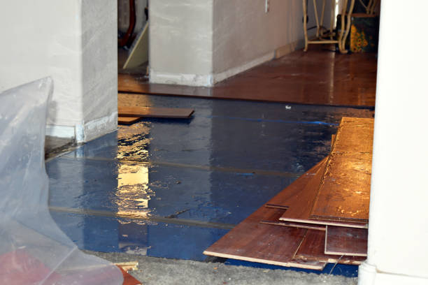 Professional Flood Cleanup technician working in Waverly, MO